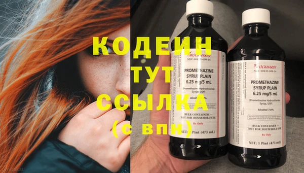 apvp Осташков