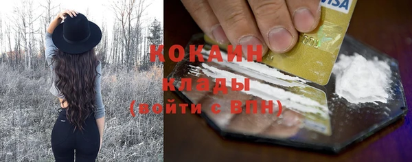 соль ск Абаза