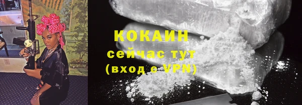 соль ск Абаза